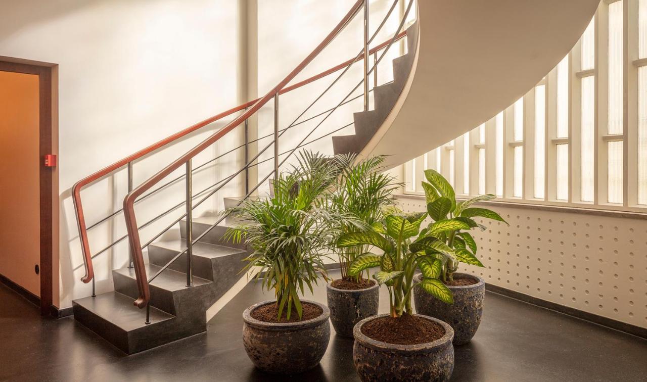 Ceuta Terrace Suites Порту Экстерьер фото